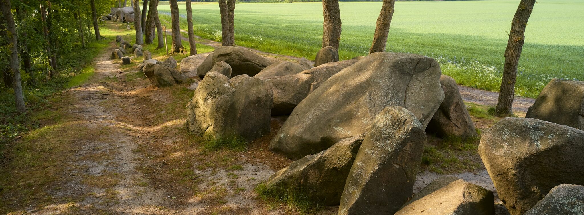Blick auf Eggermühlen